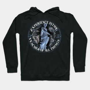 Experience is knowledge Hoodie